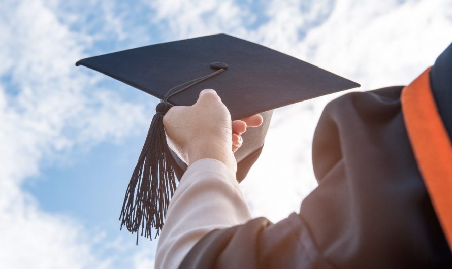 Купить диплом логиста в Димитровграде